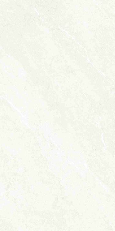 Dhara White Matte 24 x 48